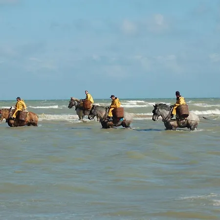 Sealview Sundown Apartament Koksijde