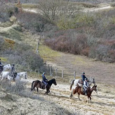 Sealview Sundown * Koksijde