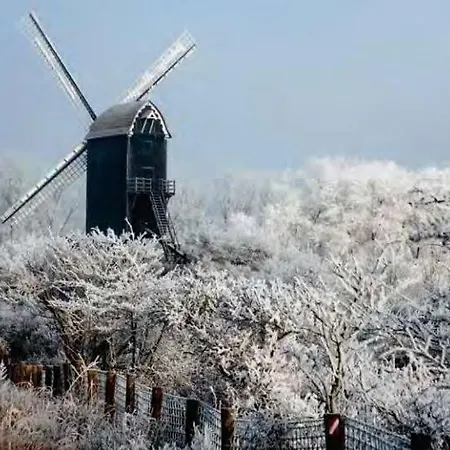 Sealview Sundown Apartament